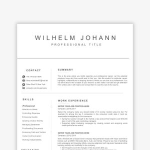 Lebenslaufvorlage für Software-Ingenieur, Lebenslauf für Software-Entwickler, ATS-freundlicher IT-Lebenslauf, Lebenslauf für Informatiker, Lebenslaufvorlage für Datenanalytiker