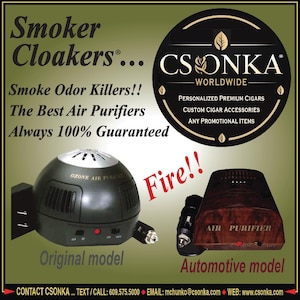 Smoke Odor Eliminator, Car and Home Air Purifier