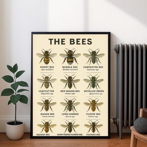 Insects Poster – Entomology Wall Art Printable, Vintage Insect Illustration Download for Classroom, Nature Decor, Kids Room or Office