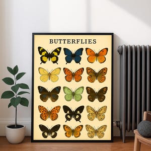 Butterflies Poster –Butterflies Art Print, Insects Wall Art, Entomology Art Digital Download, illustration Print for Classroom, Kids Bedroom