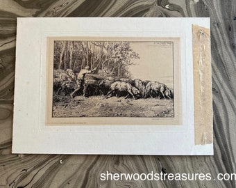 Herd of Swine Coming Out of a Wood Charles Emile Jacque Original  1849  Drypoint Etching Mat Size  8" x 11 1/4"