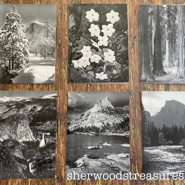 1956 Ahwahnee Menu Group pf SIX YOSEMITE  Ansel Adams Photo Menus Cathedral Peak Vernal and Nevada Falls Half Dome  Free Shipping