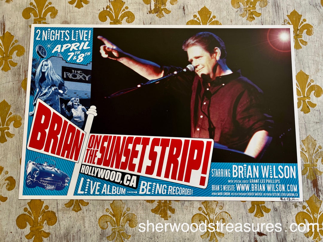 Brian Wilson Beach Boys Concert Tour Poster – 60s Rock Vibe, Reproduction Print
