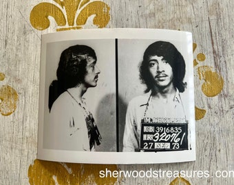 Long Haired Hippie  MAN  1973 Chicago Mug Shot Criminal  Booking Photos  4" x 5"