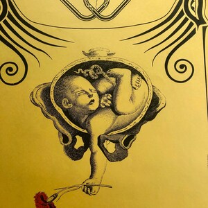60'S Orig Wilfried SATTY Headshop Poster in Ccarnation 1967 Hippie ...