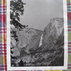 4 Yosemite National Park Original Photo Vintage Photographs Bears ...