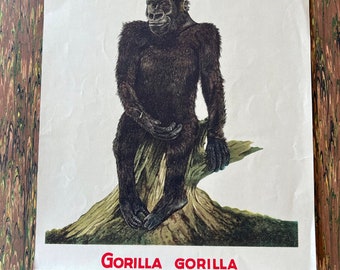 GORILLA ANTIQUE Print Over 100 Years Old 9 1/4" x 11 1/2" Stamped Reference Collection California Academy of Sciences