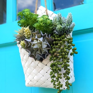 Hanging Faux Succulent for Wall Decor, Artificial Succulent Arrangement, Office Decor, Succulent Home Decor
