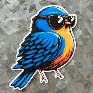 May include: A sticker featuring a cartoon bluebird wearing black sunglasses. The bird has blue and orange feathers with black outlines. The sticker is on a gray, textured surface.