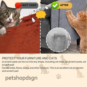 How Do You Stop a Cat from Scratching Walls: Effective Tips