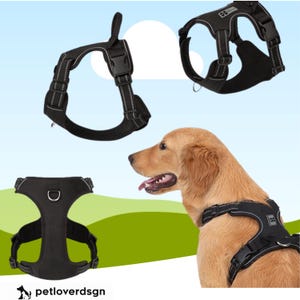 May include: Black dog harnesses with reflective stitching are displayed. One harness is on a golden retriever. The harnesses have adjustable straps and buckles. The harnesses are designed for comfort and safety during walks and outdoor activities.