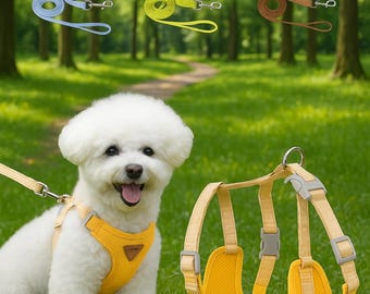 Soft Dog Harness & Leash Set – No Pull, Adjustable, Cute Design