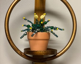 Planta suculenta con cuentas para siempre