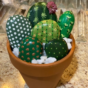 May include: A terracotta pot filled with white pebbles and painted rocks that resemble a cactus plant. The rocks are painted in various shades of green with white polka dots, brown spots, and green and white stripes. A pink flower is painted on top of one of the rocks.