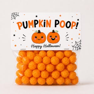 Op de afbeelding: Een doorzichtige plastic zak gevuld met ronde oranje kaasballen, bekroond met een witte rechthoekige kaart met de tekst PUMPKIN POOP! en Happy Halloween! naast twee cartoon pompoenillustraties met spinnenwebben en sterren.