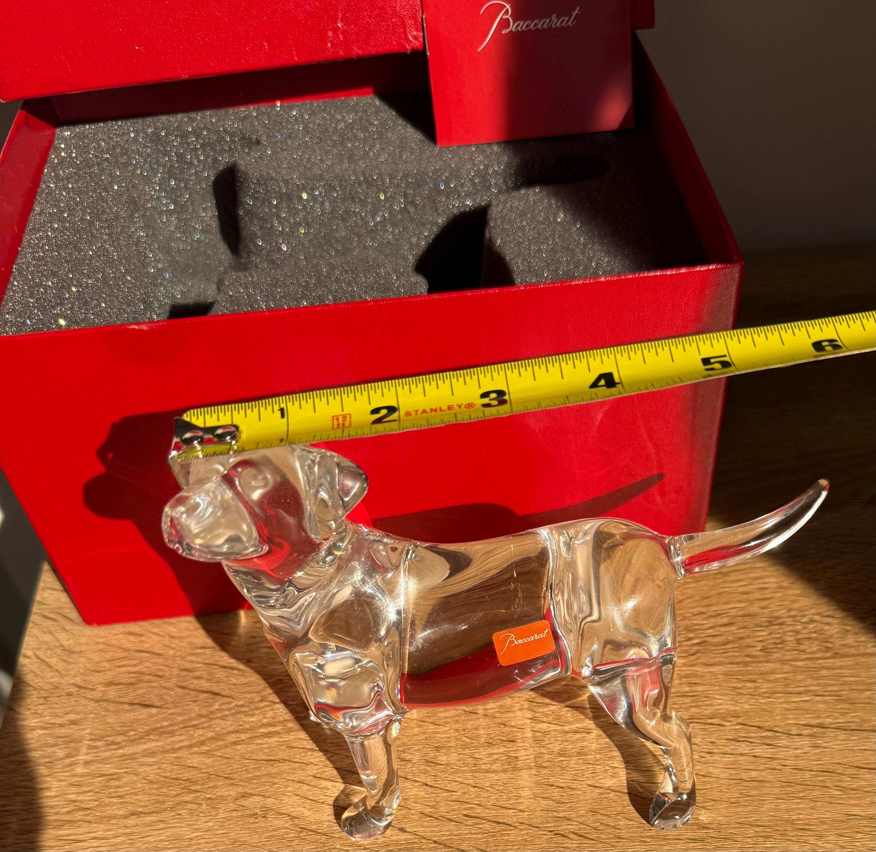 Baccarat Crystal Dog - Etsy Canada