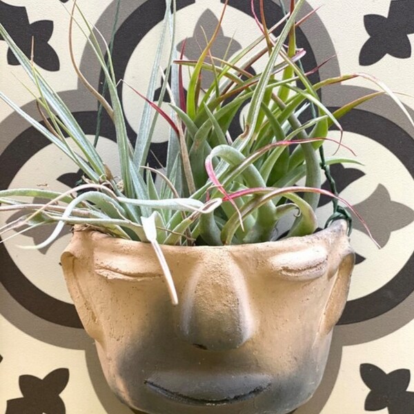 Spanish Wall Planter Etsy Australia