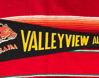Vintage 1950s Valleyview Alberta Canada Pennant