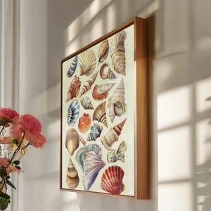 Seashell Canvas Wall Art Coastal Print, Nautical Ocean Shells Illustration for Bathroom or Beach Home Decor, Framed Gift for Sea Lovers