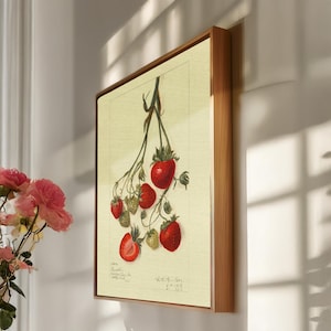 Vintage Strawberry Botanical Canvas Wall Art Framed, Antique Fruit Illustration Print for Rustic Kitchen Decor or Gift for Garden Lovers