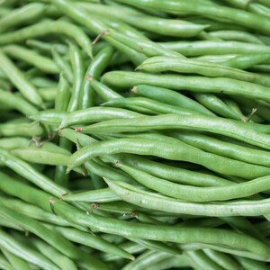Peut inclure: Gros plan sur une pile de haricots verts frais. Les haricots sont d'un vert vif, longs et fins, avec une texture lisse. Ils sont densément entassés, créant une surface texturée. L'image met en valeur la couleur et la forme naturelles des haricots.