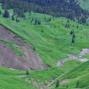 Puede incluir: Un paisaje verde con colinas y valles cubiertos de hierba exuberante. Un pequeño arroyo serpentea por la escena, con una zona rocosa más oscura a la izquierda. El fondo presenta un denso bosque de árboles de hoja perenne.