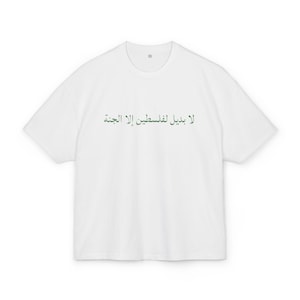Maglietta Palestina gratuita, stile vintage, regalo per attivista, maglietta Palestine Pride
