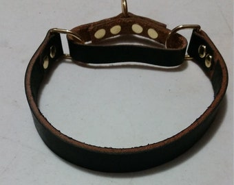 Collar de cuero para perro estilo martingala sin cadena