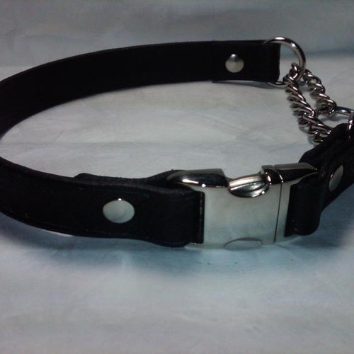 Leather Martingale Dog Collar With Side Release Snap Buckle Etsy
