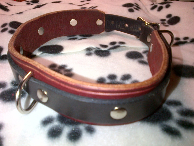 Heavy Duty Latigo and Veg-Tan Leather Dog Collar image 3