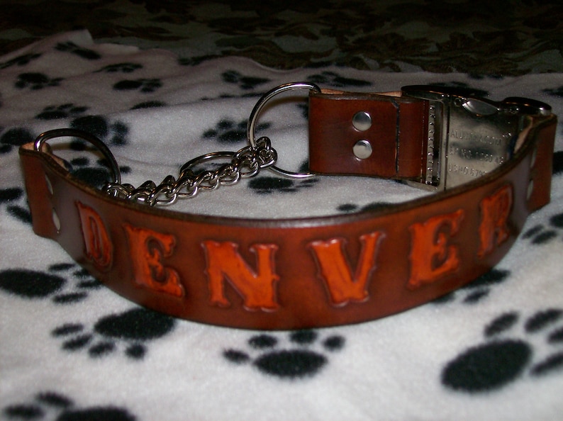 Leather Martingale Dog Collar with Snap Buckle and Name Stamped In image 6