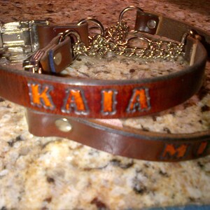 Leather Martingale Dog Collar with Snap Buckle and Name Stamped In image 2