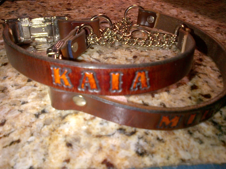 Leather Martingale Dog Collar with Snap Buckle and Name Stamped In image 2