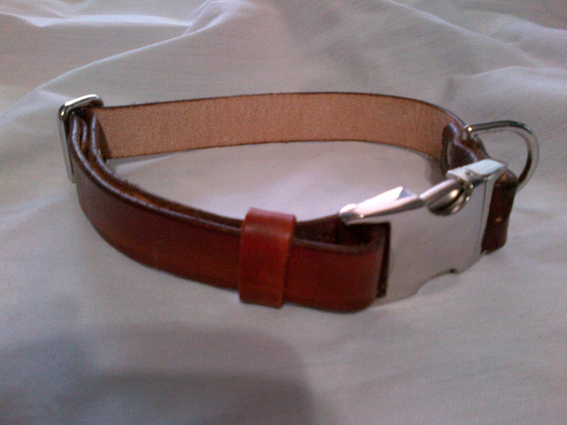 Adjustable Leather Dog Collar With Side Release Buckle Etsy