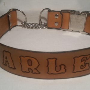 Leather Martingale Dog Collar with Snap Buckle and Name Stamped In image 3