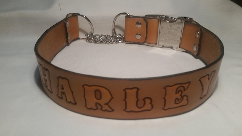 Leather Martingale Dog Collar with Snap Buckle and Name Stamped In image 3