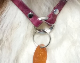 Leather Dog Necklace