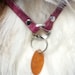 see more listings in the Dog Collars section