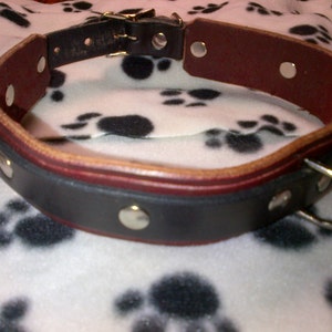 Heavy Duty Latigo and Veg-Tan Leather Dog Collar image 2