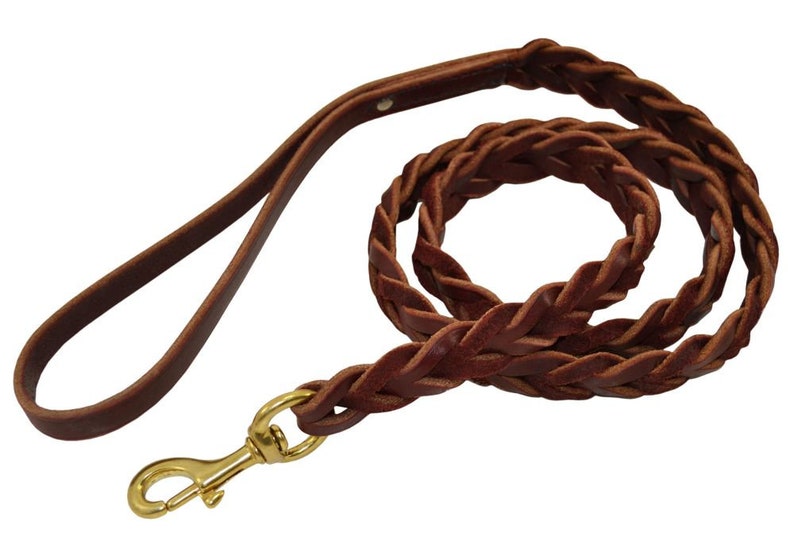 Latigo Leather Leash with Blood Knot Slotted Braiding image 1