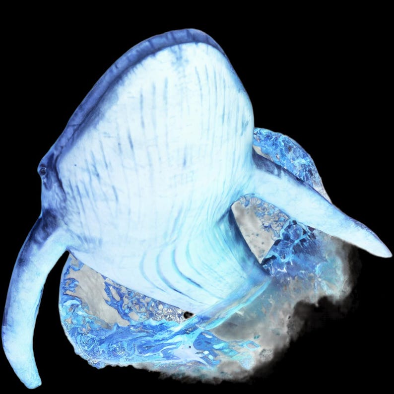K&ouml;nnte beinhalten: Digitale Illustration eines Blauwals, in Schattierungen von Hellblau und Wei&szlig;, vor einem tiefschwarzen Hintergrund. Der Wal ist in einer dynamischen Pose dargestellt, wobei sein K&ouml;rper teilweise in stilisiertem Wasser versunken ist, was ein Gef&uuml;hl von Bewegung und Tiefe erzeugt.