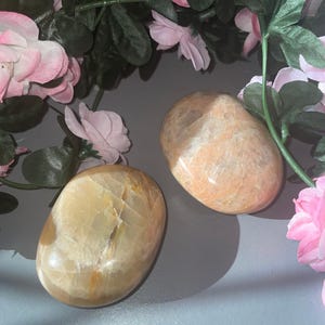 Può includere: Due pietre di luna pesca, una con una tonalità più arancione e l'altra con una tonalità più gialla, sono esposte su una superficie grigia. Le pietre sono circondate da fiori rosa.