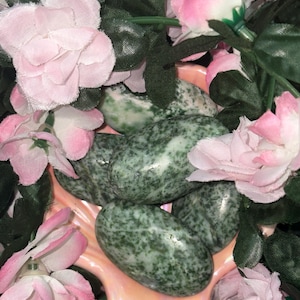 Tree Agate Palm Stone "Self Expression, Growth and Grounding"