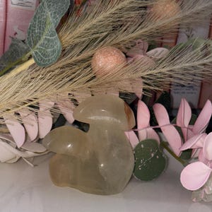 Green Fluorite Mushroom Carving