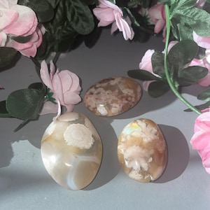 Flower Agate Palm Stone High Quality from Madagascar