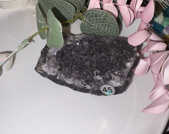 Amethyst Cluster Freeform from Uruguay