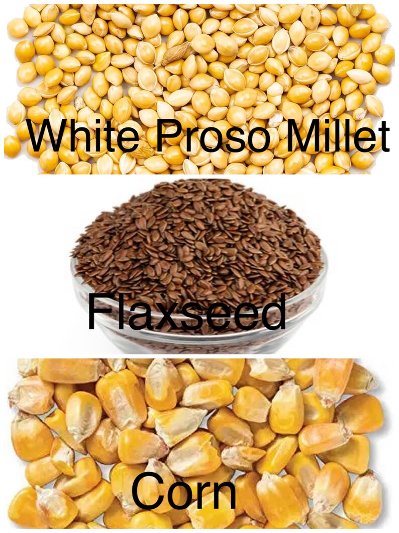 Puede incluir: Una vista a&eacute;rea de tres granos diferentes. La secci&oacute;n superior muestra un mont&oacute;n de mijo blanco proso con el texto "White Proso Millet". La secci&oacute;n media muestra un cuenco de vidrio lleno de linaza con el texto "Flaxseed". La secci&oacute;n inferior muestra granos de ma&iacute;z con el texto "Corn".