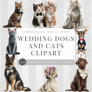 May include: A digital clipart set featuring cats and dogs dressed for a wedding. The image includes various breeds of cats and dogs, each adorned with wedding attire such as bow ties, veils, and floral arrangements. Text reads "Wedding Dogs and Cats Clipart".