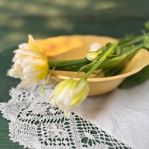Könnte beinhalten: Ein Stillleben mit einer gelben Schale und zwei weiß-gelben Tulpen. Die Tulpen liegen auf einer weißen Spitzendecke und einer grünen Oberfläche. Die Schale hat eine weiche gelbe Farbe, und die Tulpen haben grüne Stiele.