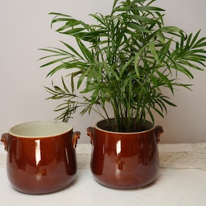Puede incluir: Dos macetas de cerámica marrón con acabado brillante. Una maceta está vacía y la otra contiene una planta verde. Cada maceta tiene dos asas pequeñas. Las macetas están sobre una superficie blanca.